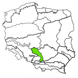 Wyżyna Krakowsko-Częstochowska|wyżyna krakowsko-częstochowska|wyzyna krakowsko-czestochowska|wyzyna krakowskoczestochowska