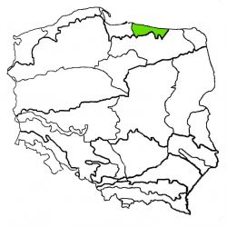Nizina Staropruska|nizina staropruska