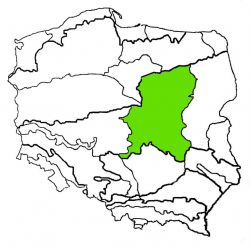 Nizina Mazowiecka|nizina mazowiecka