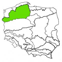Pojezierze Pomorskie|pojezierze pomorskie