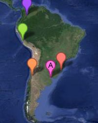 Buenos Aires
