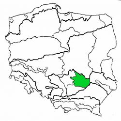 Wyżyna Kielecka|wyżyna kielecka|wyzyna kielecka