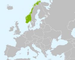 Norwegia - Oslo