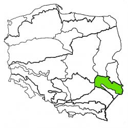 Wyżyna Lubelska|wyżyna lubelska|wyzyna lubelska