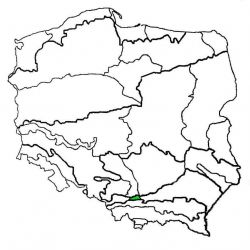 Brama Krakowska|brama krakowska
