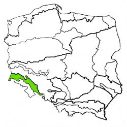 Przedgórze Sudeckie|przedgórze sudeckie|przedgorze sudeckie