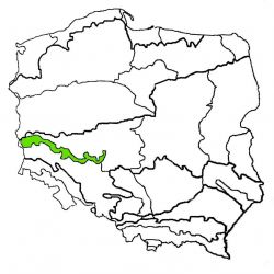 Wał Trzebnicki|wał trzebnicki|wal trzebnicki