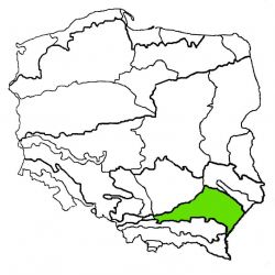 Kotlina Sandomierska|kotlina sandomierska