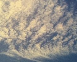 Cirrocumulus