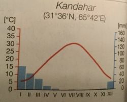 Kontynentalny suchy