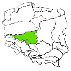 Nizina Wielkopolska|nizina wielkopolska