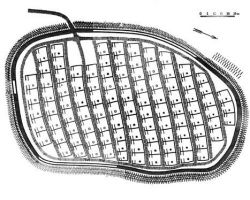 Zabudowa Biskupina plan