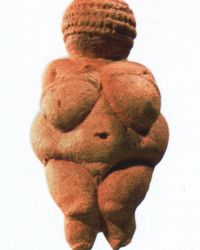 wenus z willendorfu, muzeum sztuki naturalnej