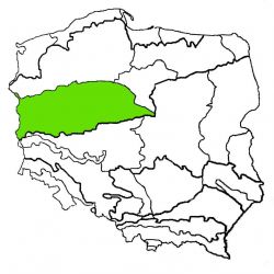 Pojezierze Wielkopolskie|pojezierze wielkopolskie