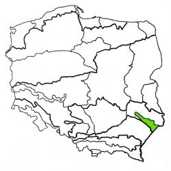 Roztocze|roztocze