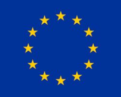 Flaga Unii Europejskiej