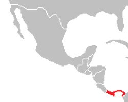 Panama - Panama