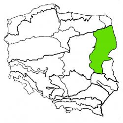 Nizina Podlaska|nizina podlaska