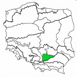 Niecka Nidziańska|niecka niedziańska|niecka niedzianska